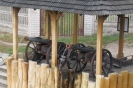 Amazonki_w_Lodzi_18