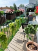 Balkony_2023_52
