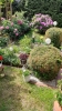 Ogrody_2023_159