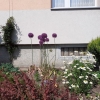 Ogrody_2023_183