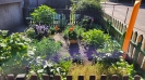 Ogrody_2023_53