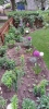 Ogrody_2023_66
