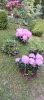 Ogrody_2023_77