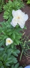 Ogrody_2023_87
